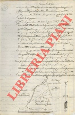 Una frazione di terreno boschivo che fa parte di un …