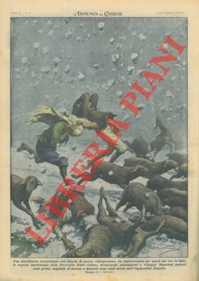 Una grandinata eccezionale, con chicchi di mezzo chilogrammo, ha imperversato …