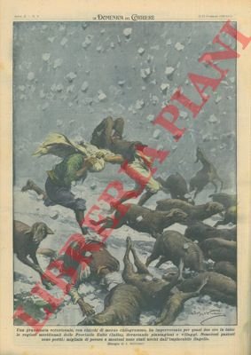 Una grandinata eccezionale, con chicchi di mezzo chilogrammo, ha imperversato …