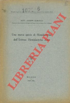Una nuova specie di Hemidactylus dell'Eritrea: Hemidactylus Zolii.