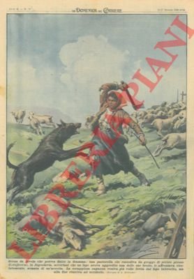 Una pastorella che custodiva un gregge di pecore, accortasi che …