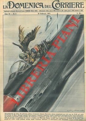 Una poiana sbatte contro l'abitacolo di un F86, scoperchiandolo . …