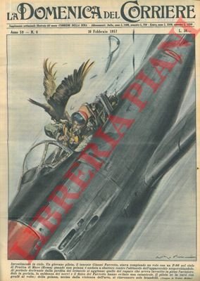 Una poiana sbatte contro l'abitacolo di un F86, scoperchiandolo . …