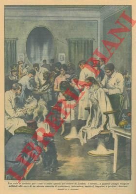 Una sala di toeletta per cani nel centro di Londra.