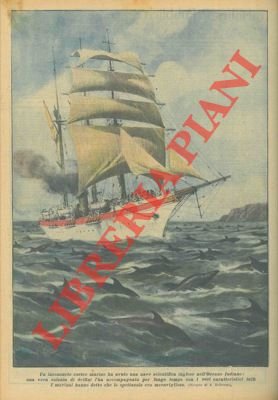 Una vera colonia di delfini ha accompagnato una nave scientifica …