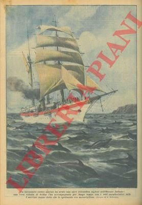 Una vera colonia di delfini ha accompagnato una nave scientifica …