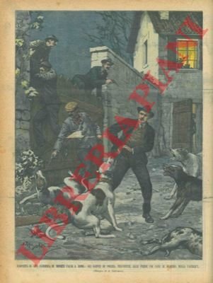 Uno spogliatore di cadaveri sorpreso dai soldati delle truppe europee.