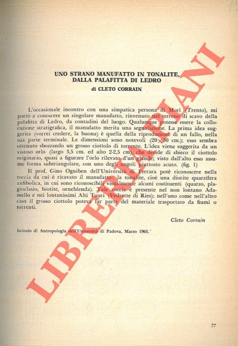 Uno strano manufatto in tonalite dalla palafitta di Ledro (Brescia) …