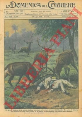 Uomo entra nel recinto dei cervi in un giardino zoologico: …