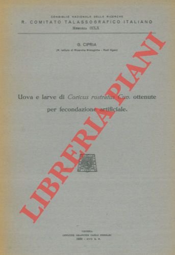 Uova e larve di Coricus rostratus Cuv. ottenute per fecondazione …