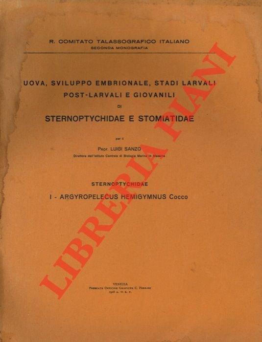 Uova, sviluppo embrionale. stadi larvali post-larvali e giovanili di Sternoptychidae …