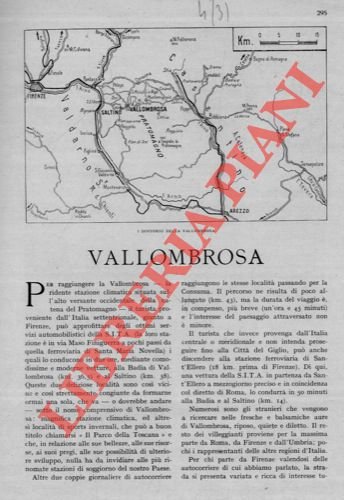 Vallombrosa. | Immagine Gallery 2