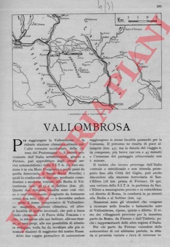 Vallombrosa. | Immagine Gallery 3