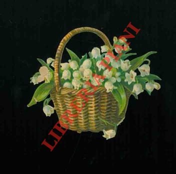 Vasi con fiori.