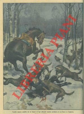 Vecchio signore assalito da un branco di lupi mentre cavalcava …