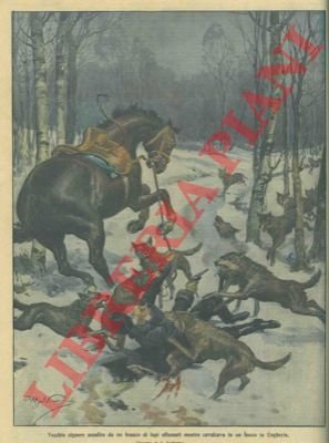 Vecchio signore assalito da un branco di lupi mentre cavalcava …