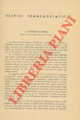 Vespidi transadriatici.