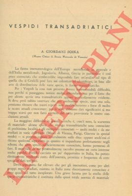 Vespidi transadriatici.