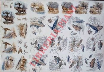 Vetrofania anni '50.