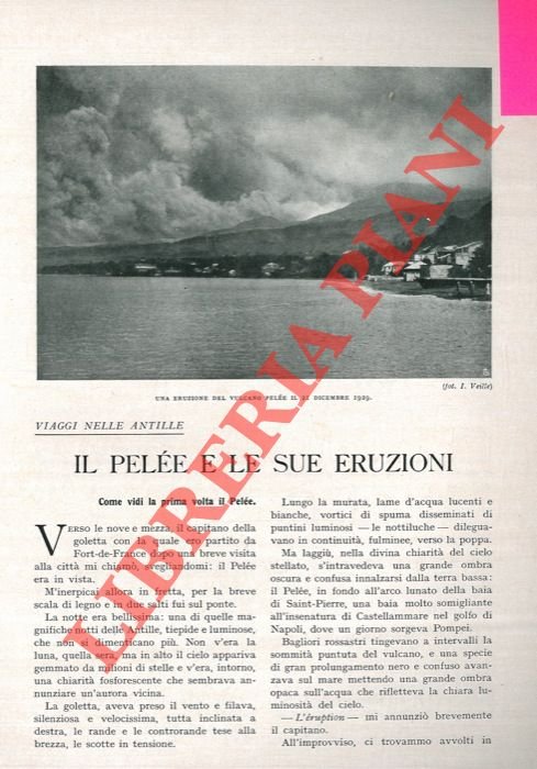 Viaggi nelle Antille. Il Pelée e le sue eruzioni.