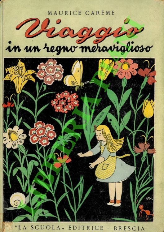 Viaggio in un regno meraviglioso.