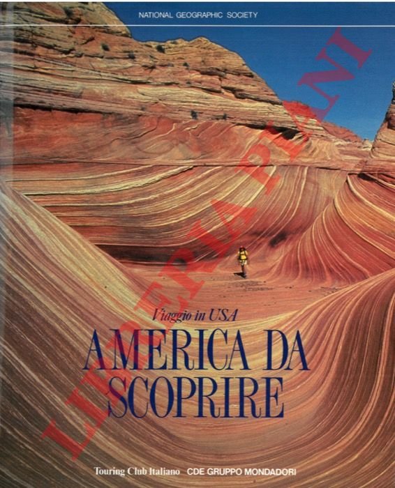 Viaggio in USA. America da scoprire.