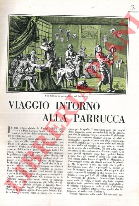 Viaggio intorno alla parrucca.