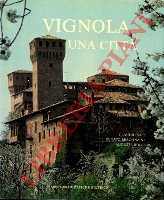 Vignola una città.
