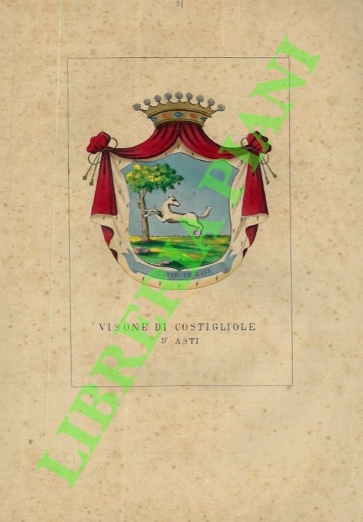 Visone di Costigliole d'Asti.