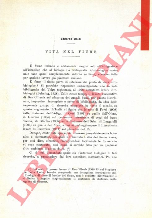 Vita nel fiume.