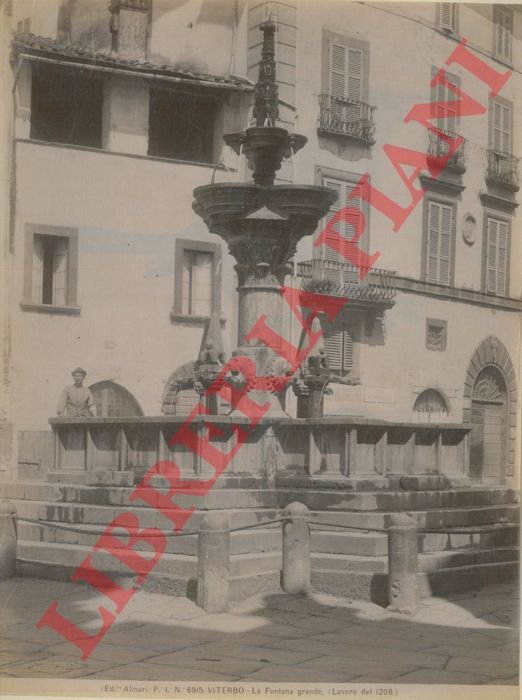 Viterbo. La Fontana grande.