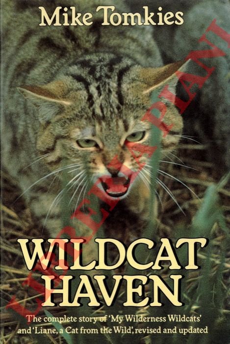 Wildcat Haven. | Immagine Gallery 2