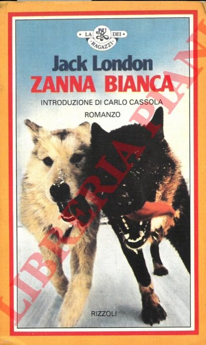 Zanna bianca.