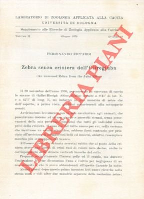 Zebra senza criniera dell'Oltregiuba.