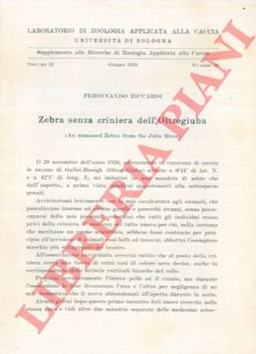 Zebra senza criniera dell'Oltregiuba.