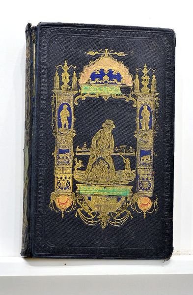 Voyages de Gulliver dans les contrées lointaines. Nouvelle édition, corrigée …