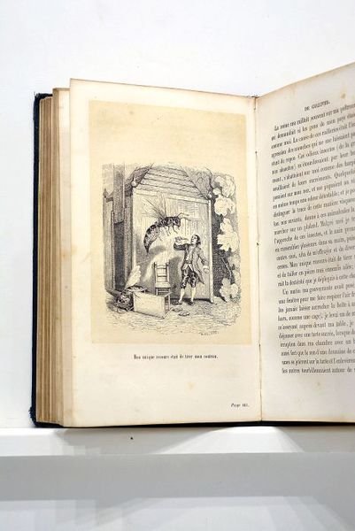 Voyages de Gulliver dans les contrées lointaines. Nouvelle édition, corrigée …