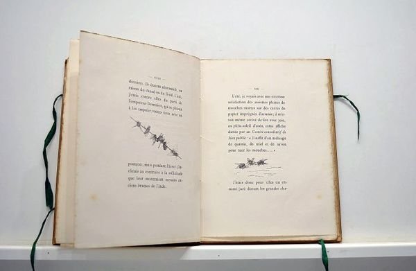 Un drame dans une carafe. Dessins par Louis Leloir.