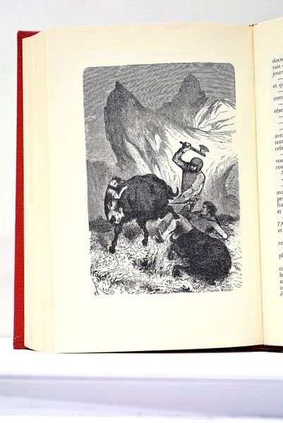 Voyages et aventures du Capitaine Hatteras. Les Anglais au pôle …