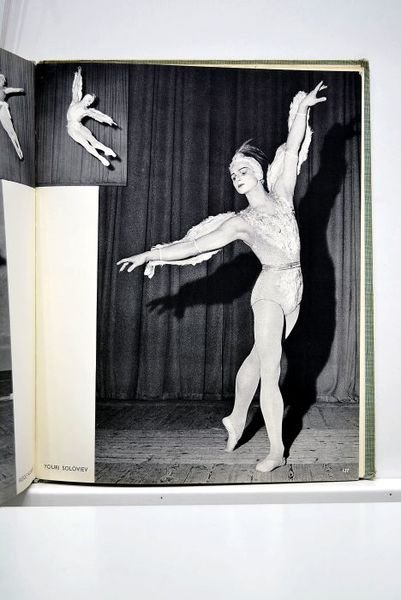 Ballet panorama. Préface par Jerome Robbins.