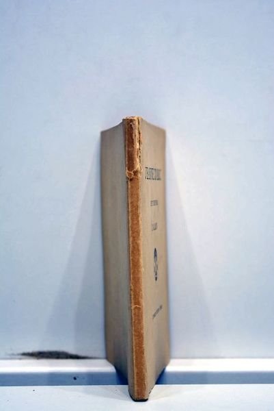 Jeanne d'Arc. Sept propos.