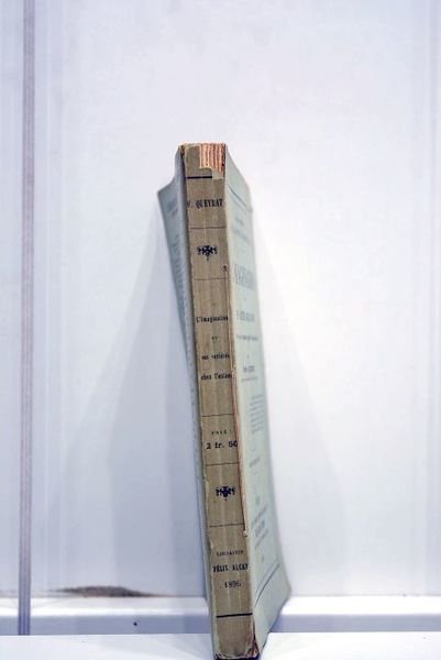 L'imagination et ses variétés chez l'enfant. Étude de psychologie expérimentale. …