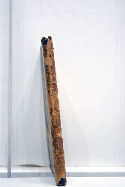 Amaïdée. Poème en prose.