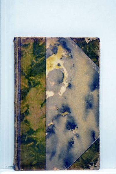 Amaïdée. Poème en prose.