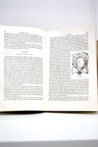Traité théorique et pratique de l'art des accouchements. Ouvrage adopté …