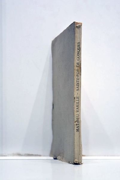 Sainte-Foy de Conques. Images de P. Janin.