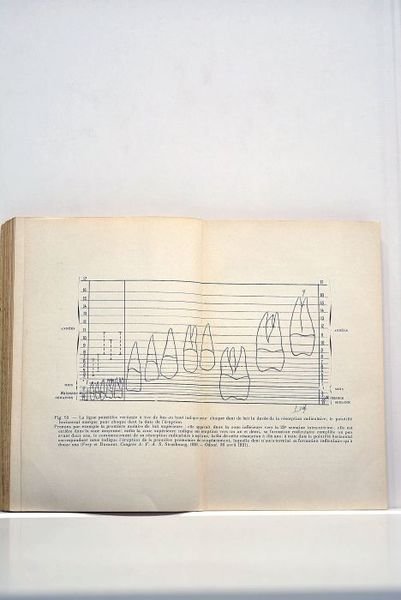 Bibliothèque du chirurgien-dentiste Dr. Ch. Godon. Pathologie de la bouche …