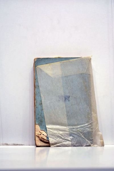 Dictionnaire cynologique comprenant l'histoire du chien, son anatomie ainsi que …