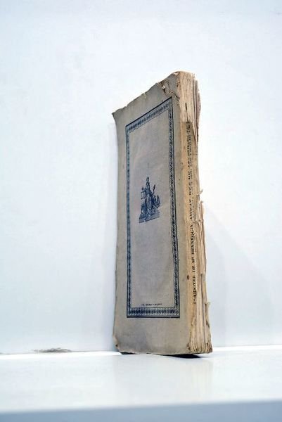 Plaidoyer pour Mm. Les princes de Rohan, contre S. A. …