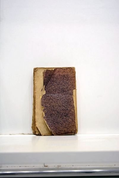 La Henriade, poème, avec les notes et variantes, suivi de …